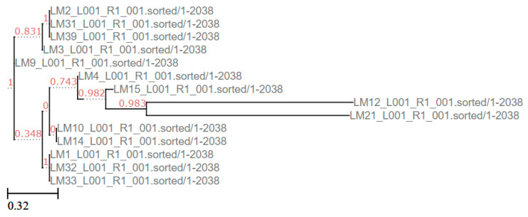 Figure 5