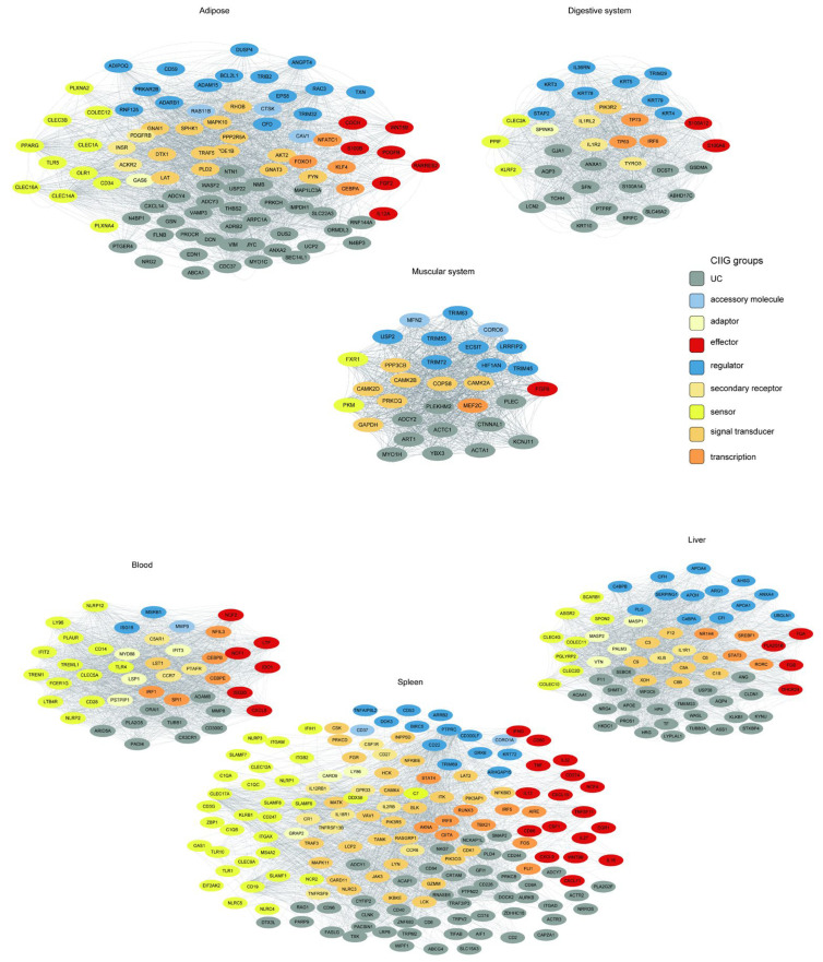 Figure 12