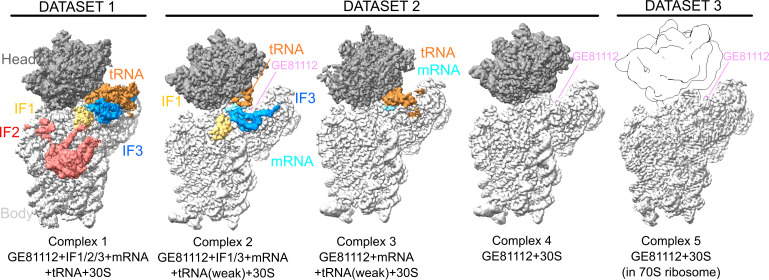 Fig 1