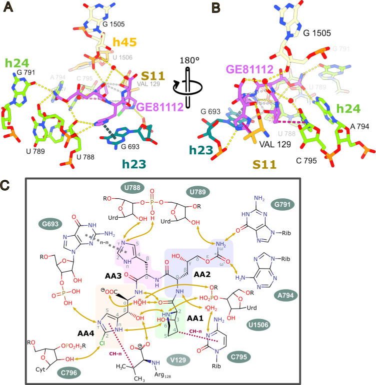 Fig 3