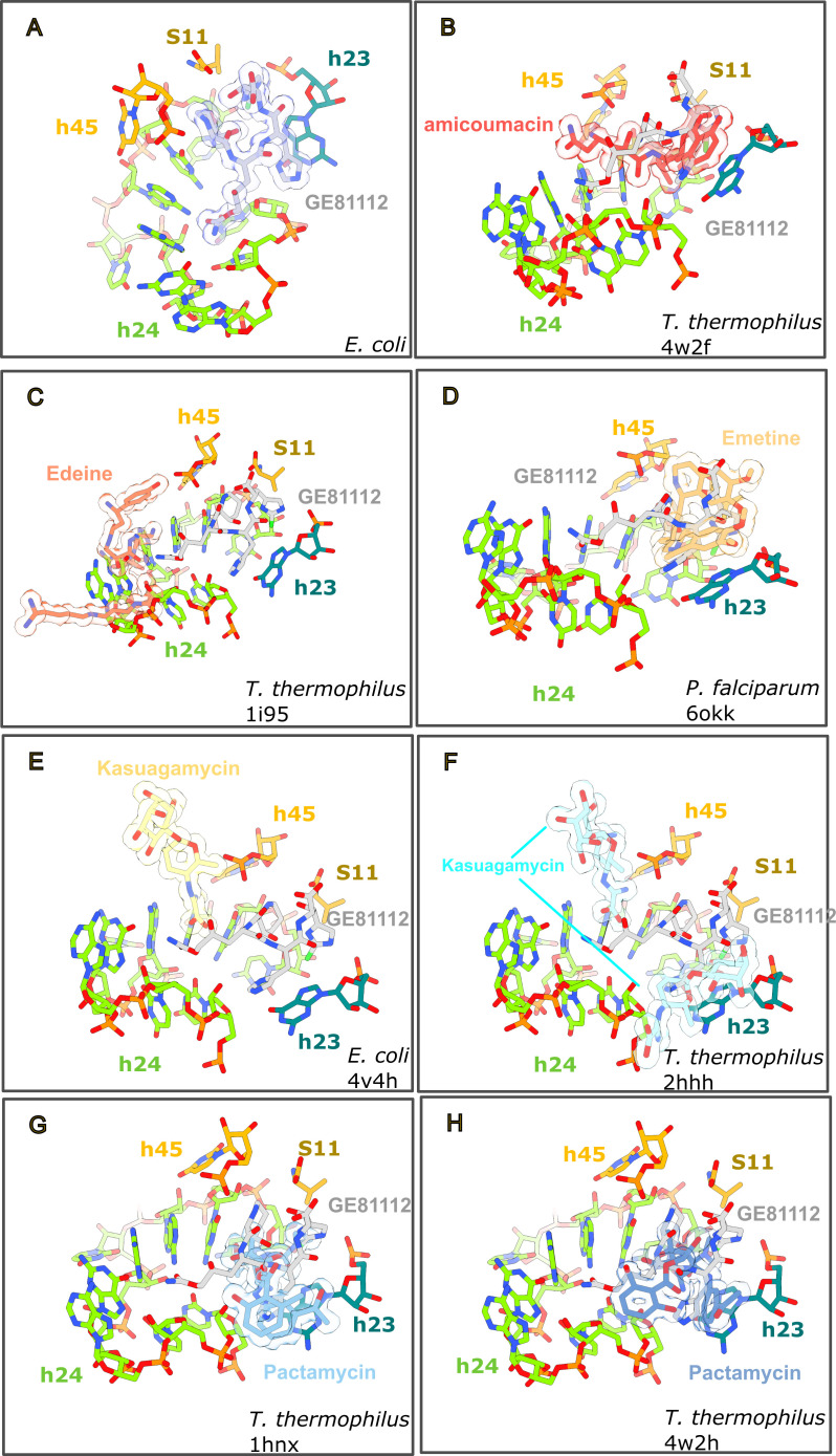 Fig 4
