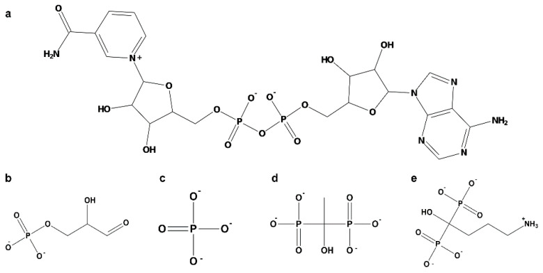 Figure 8
