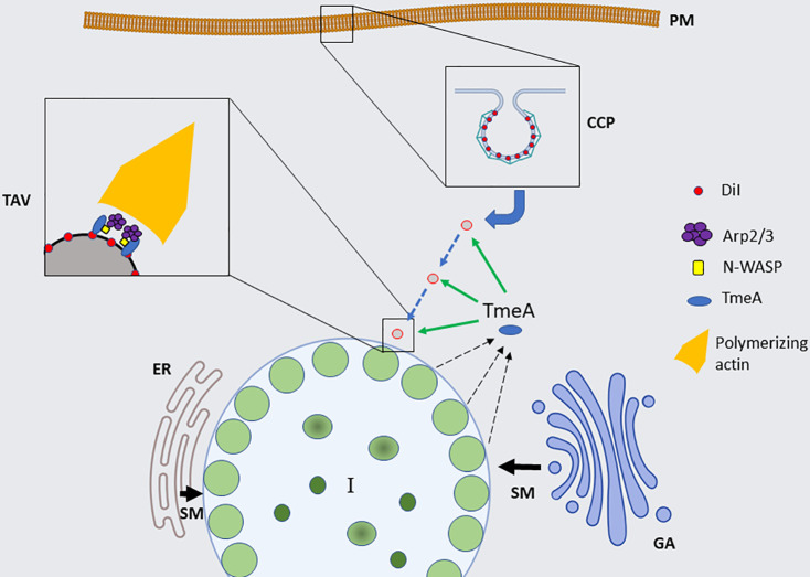 Fig 8