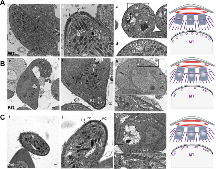 Fig 4