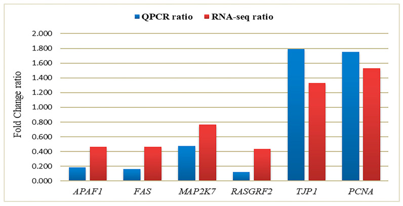 Figure 6