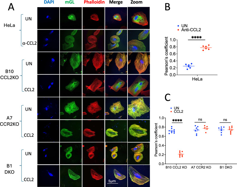 Fig 4