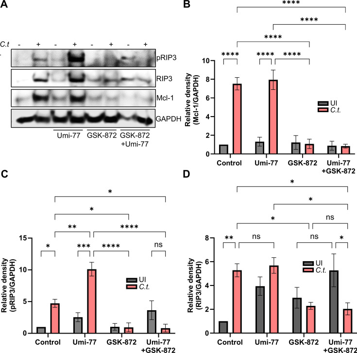 Fig 6