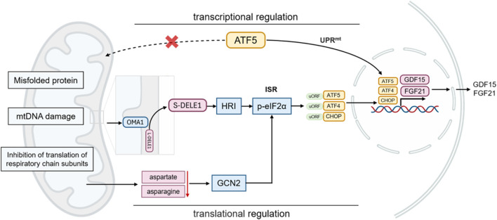 FIGURE 2