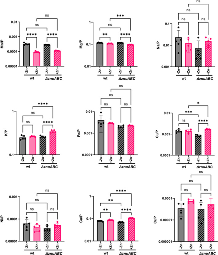 Fig 3