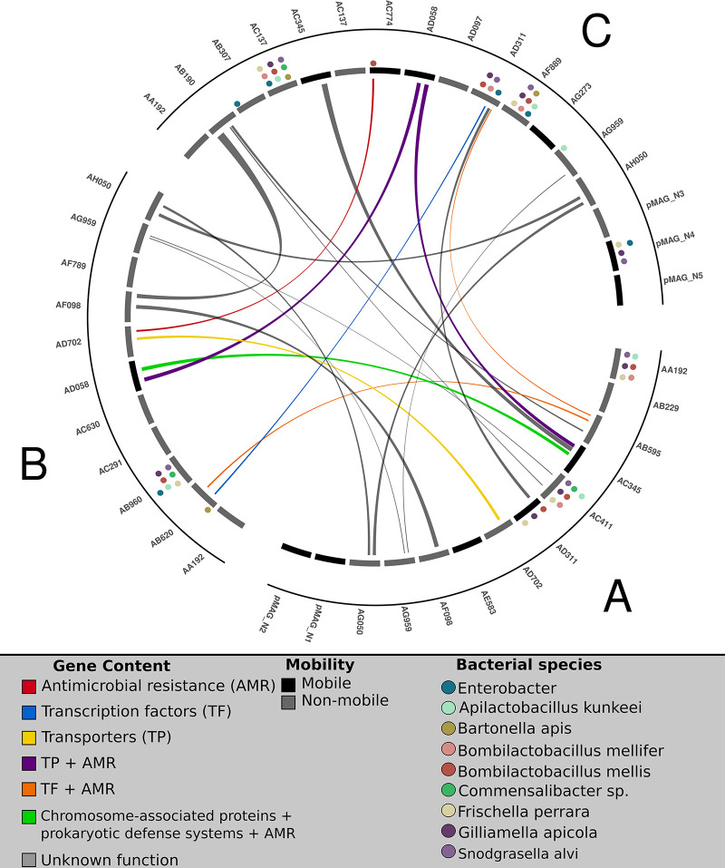 Fig 6