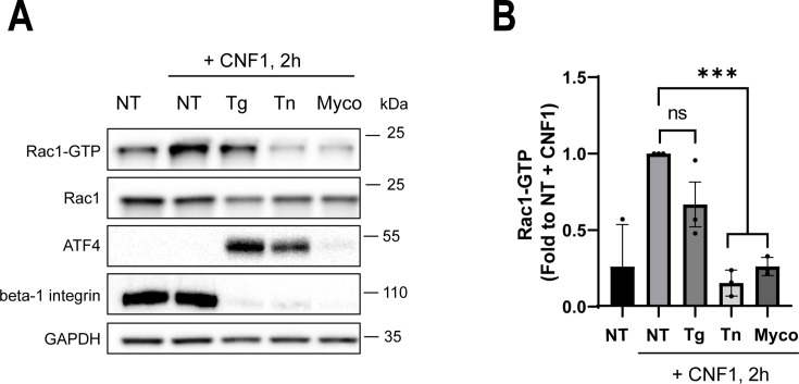Fig 5