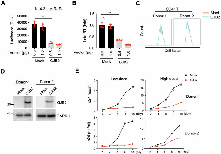 Fig 3