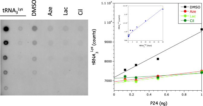 Fig 8