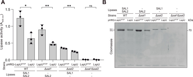 Fig 4