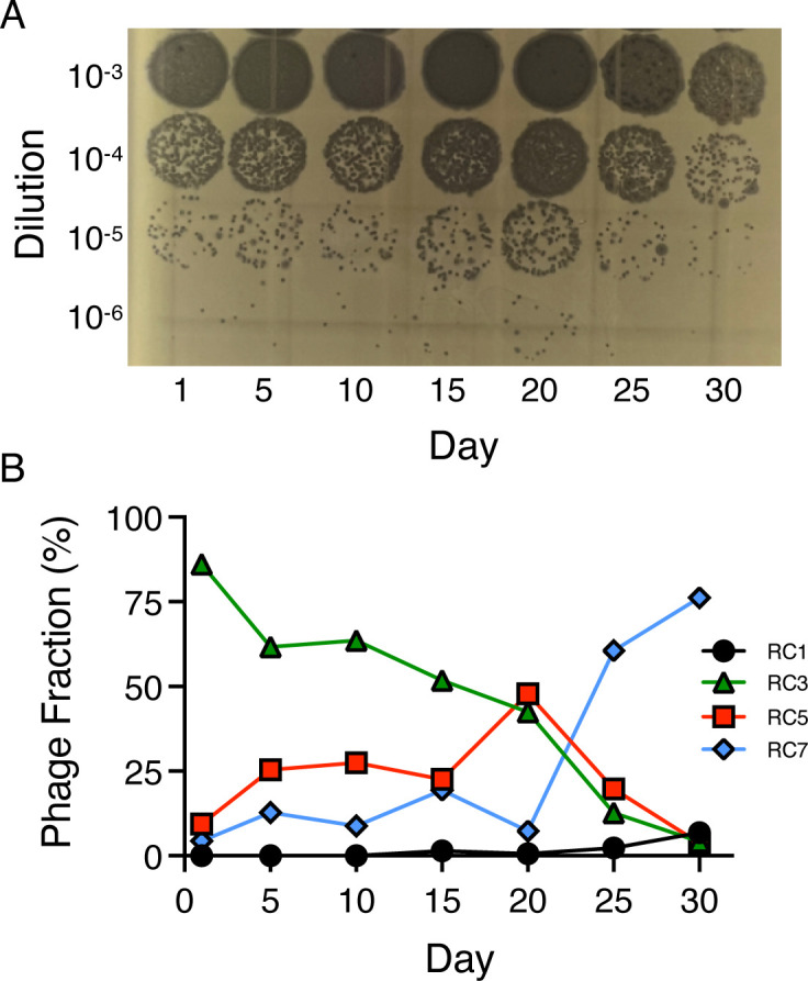Fig 3