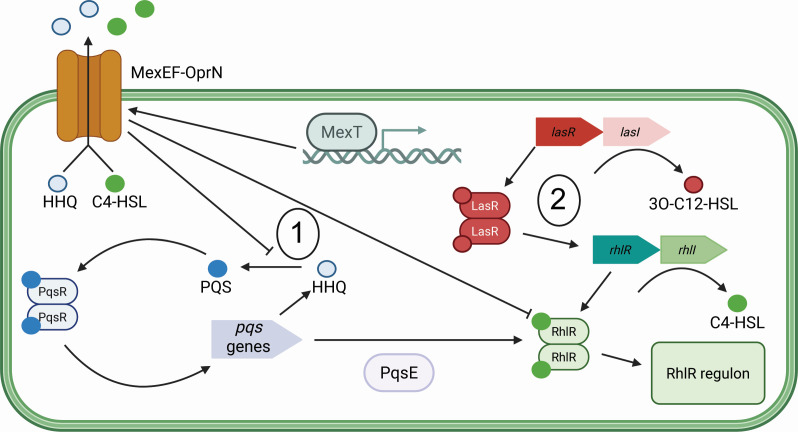 Fig 7