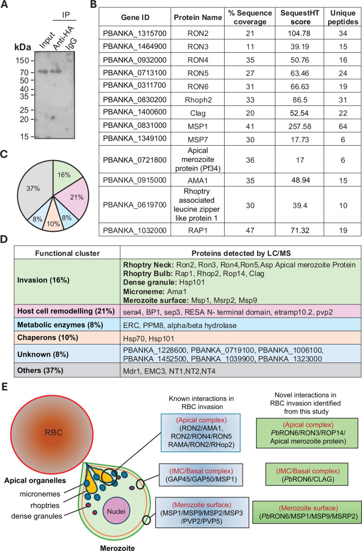 Fig 5
