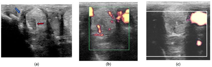 Figure 5