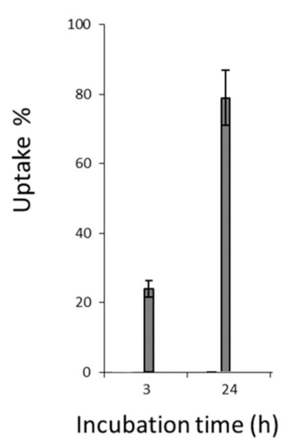 Figure 8