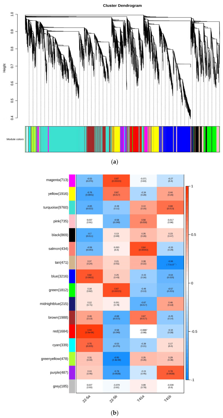 Figure 16