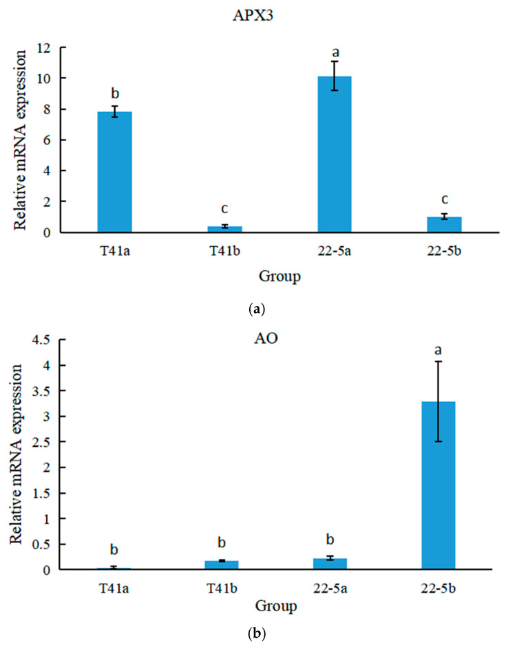 Figure 19