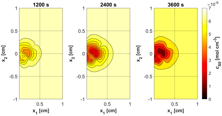 Figure 13