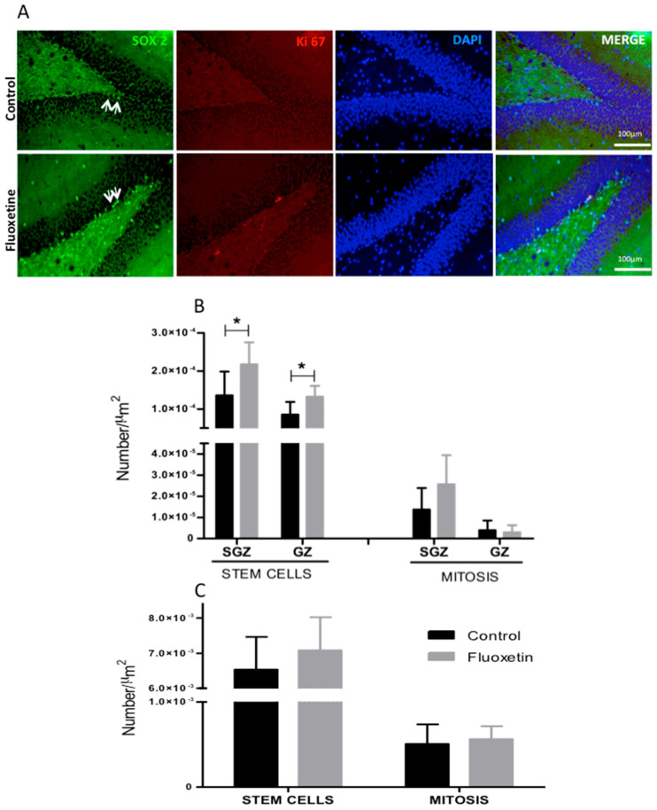 Figure 7
