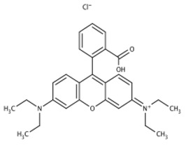 Figure 8
