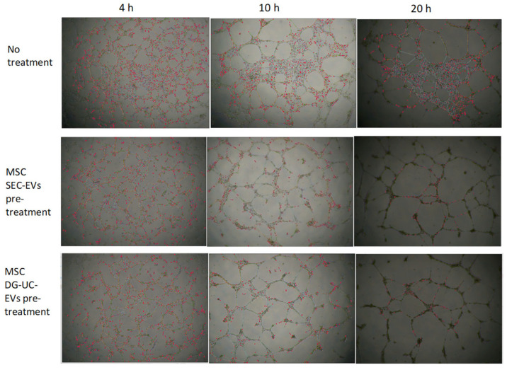 Figure 17