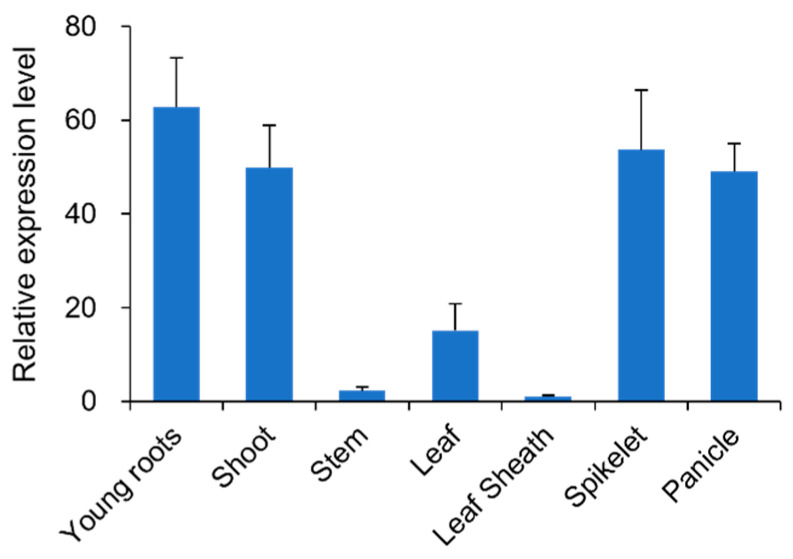 Figure 5