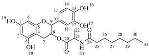 Figure 22