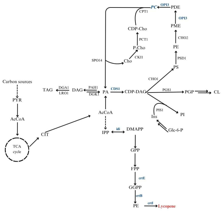 Figure 1
