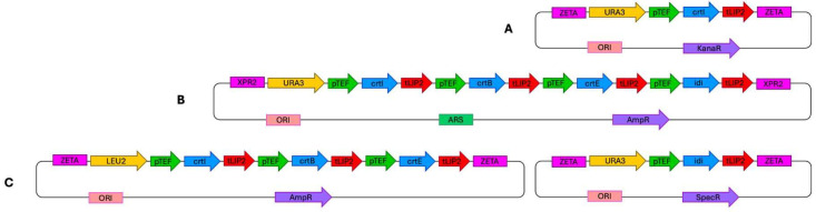 Figure 6