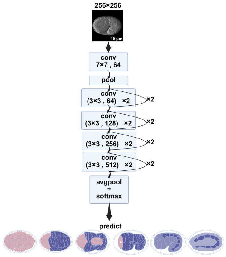 Figure 9