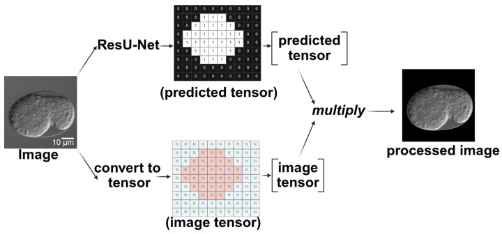 Figure 10