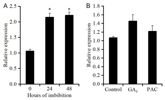 Figure 10