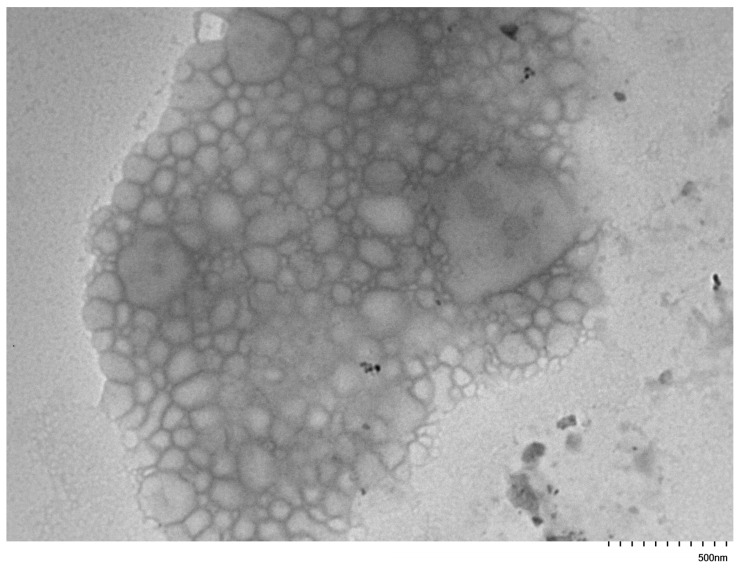 Figure 9