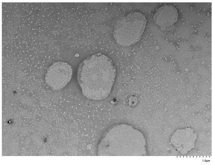 Figure 12
