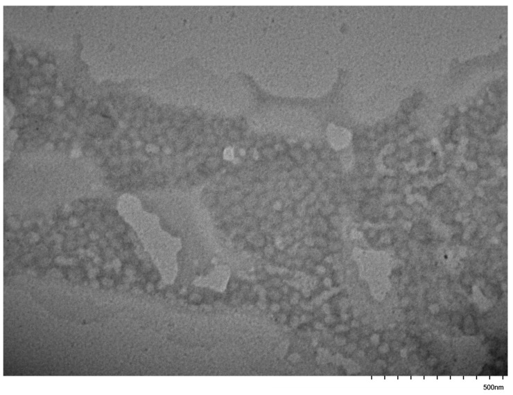 Figure 13