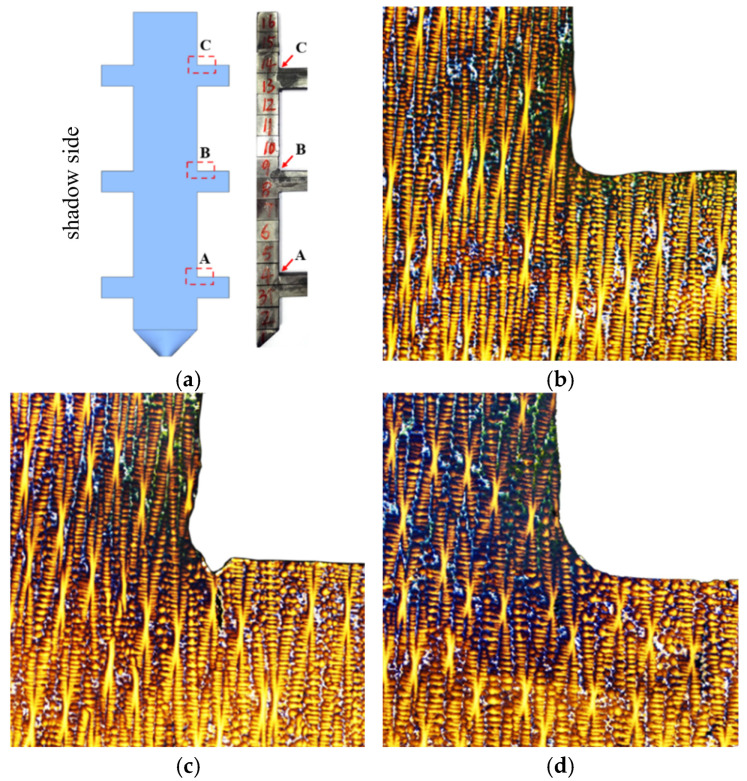 Figure 11