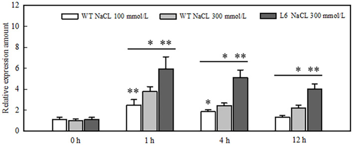 Figure 6