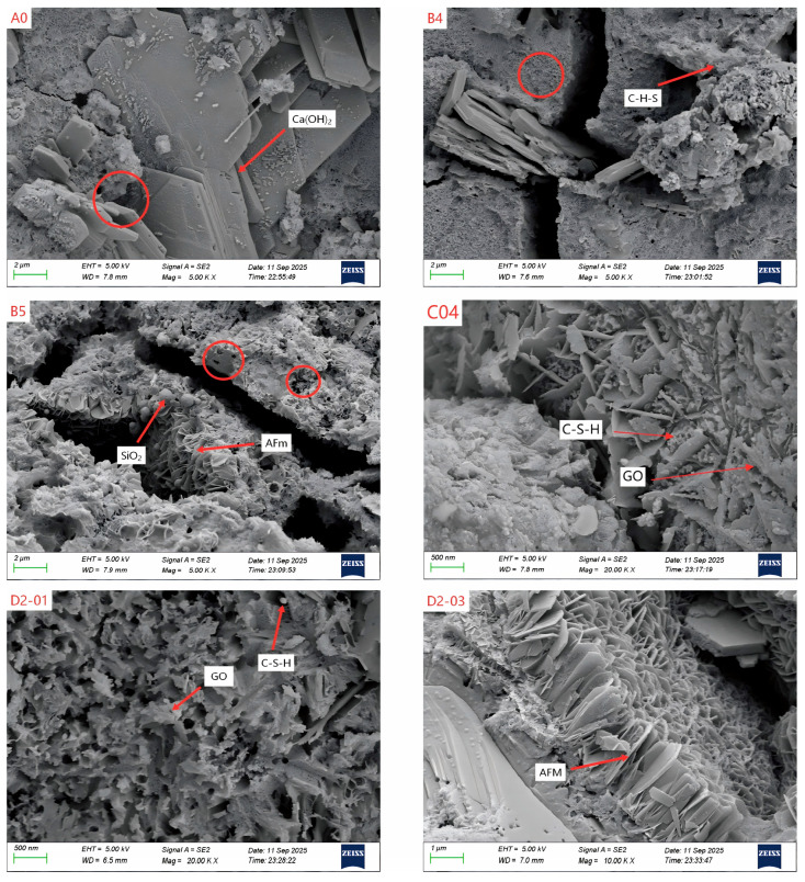 Figure 12