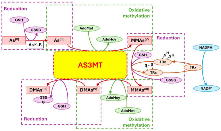 Figure 6
