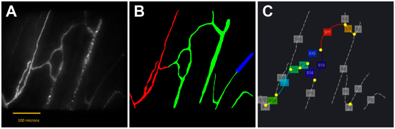 Figure 2