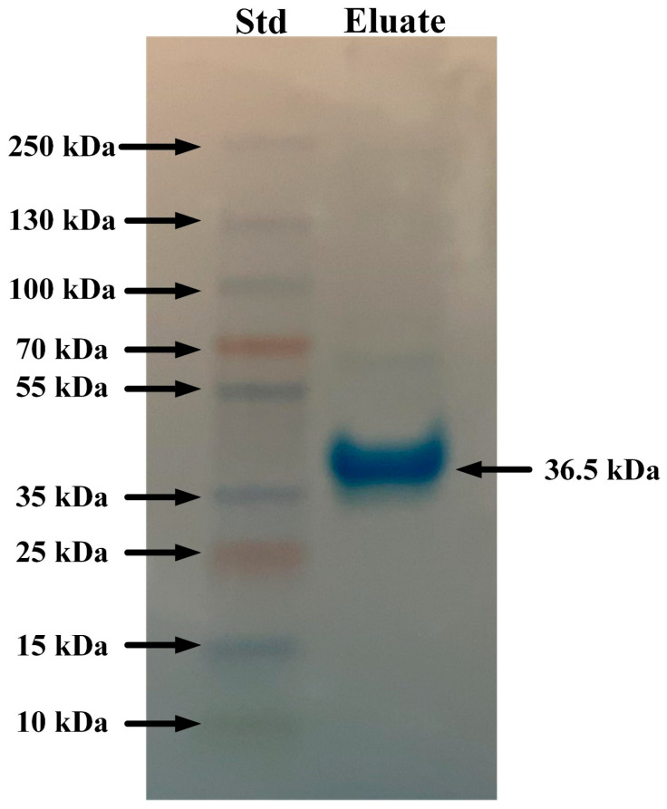 Figure 6