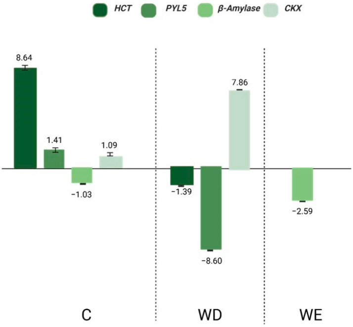 Figure 7