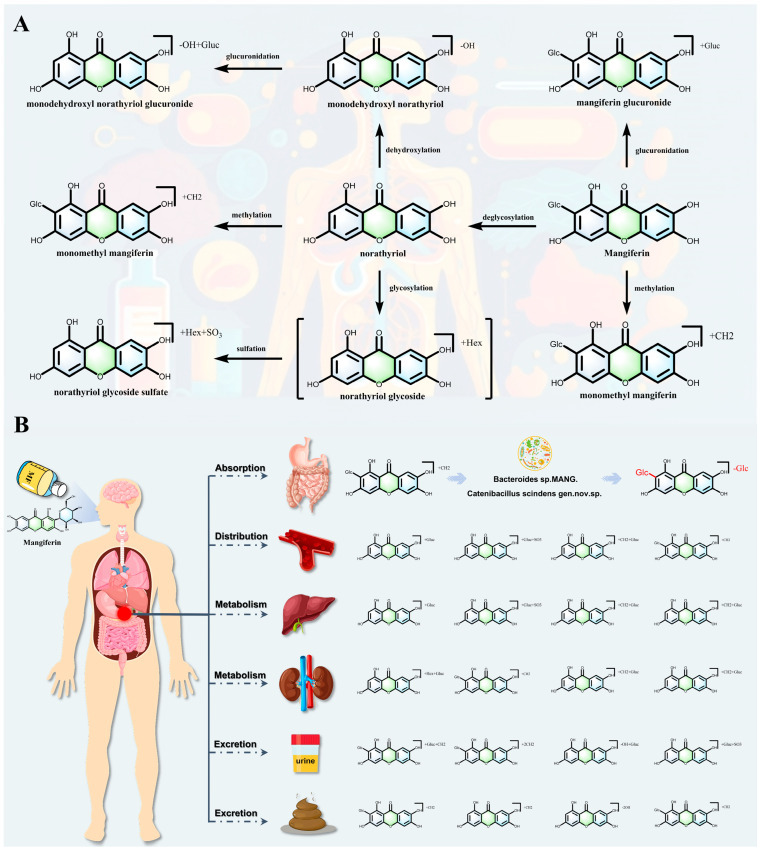 Figure 6