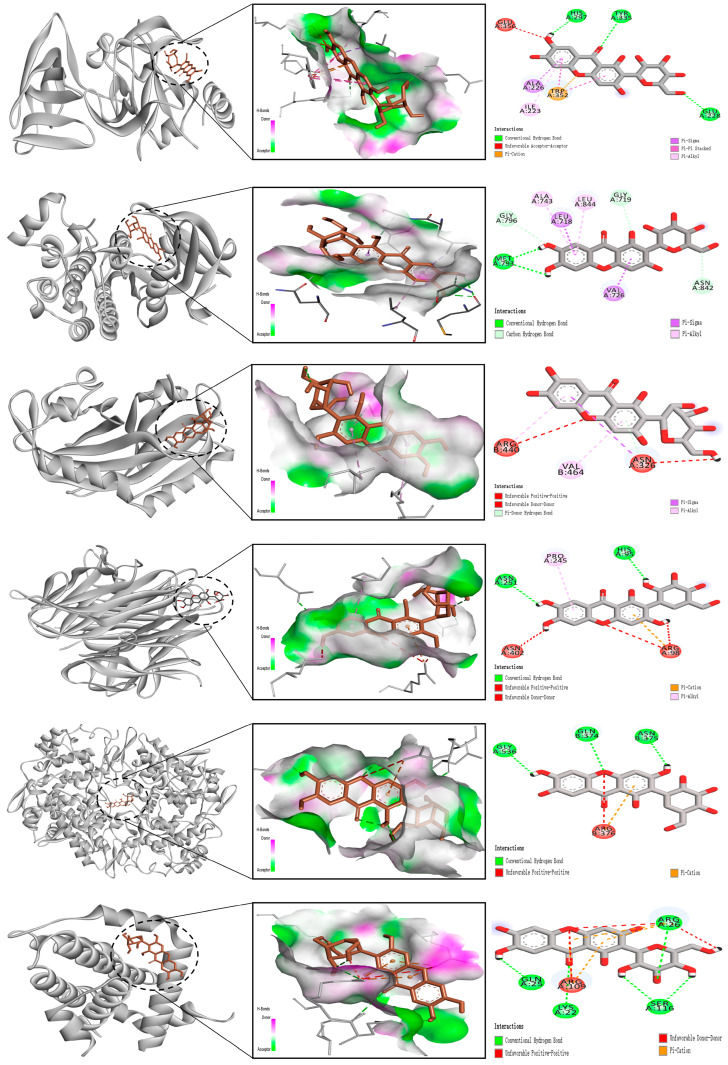 Figure 12