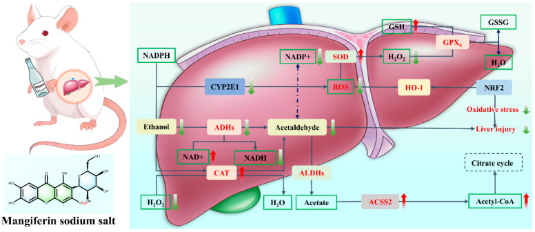 Figure 14