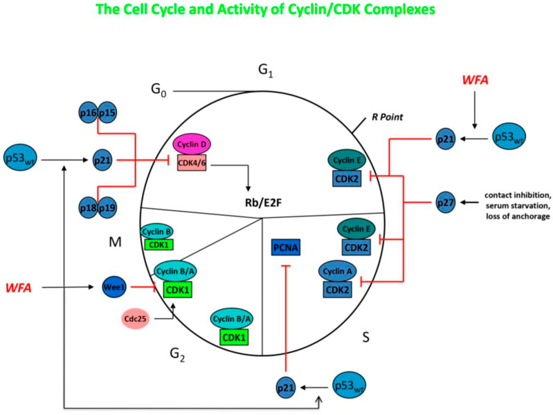 Figure 5